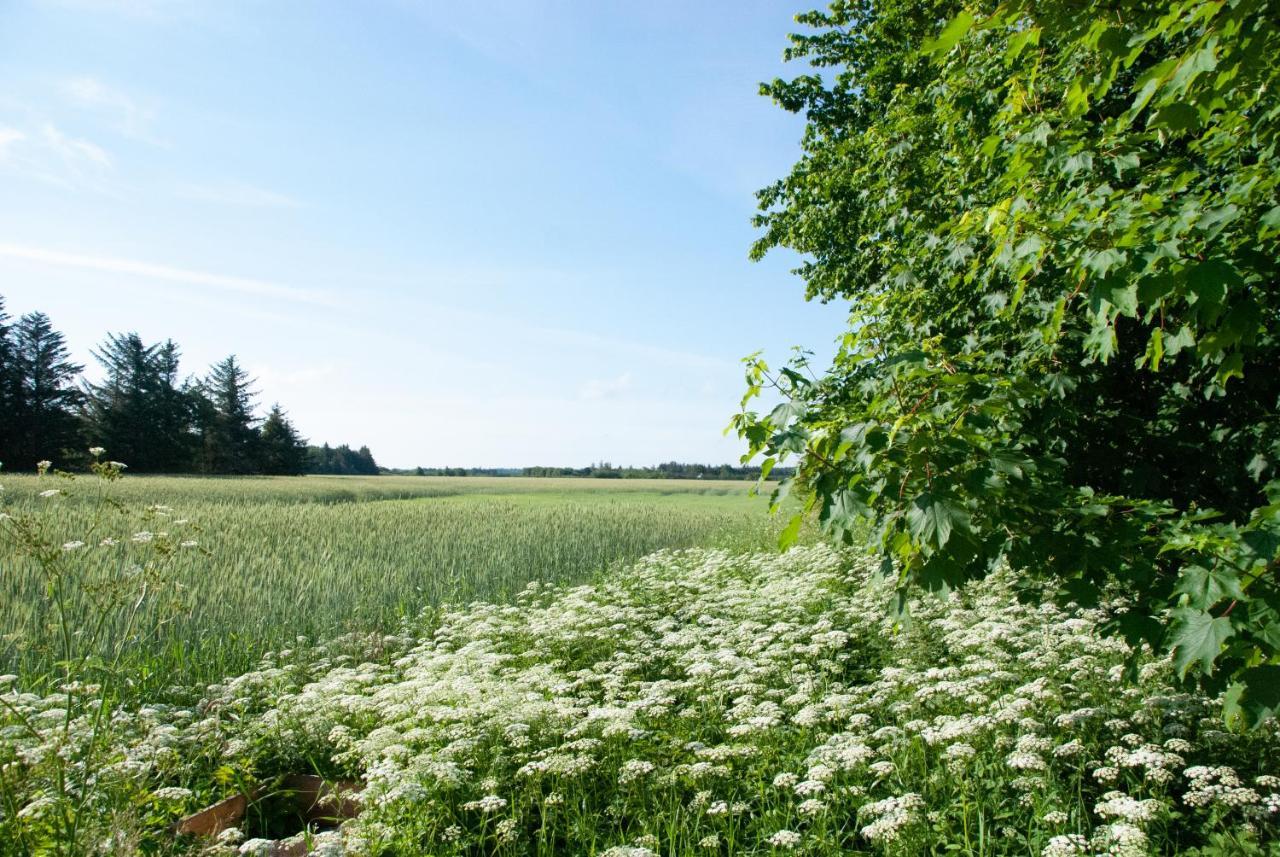 Hjørring Fuglsang Bed & Breakfast المظهر الخارجي الصورة