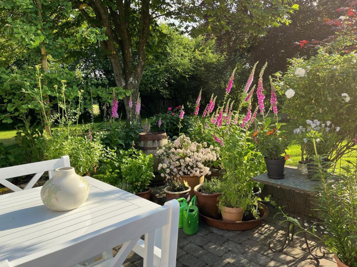 Hjørring Fuglsang Bed & Breakfast المظهر الخارجي الصورة