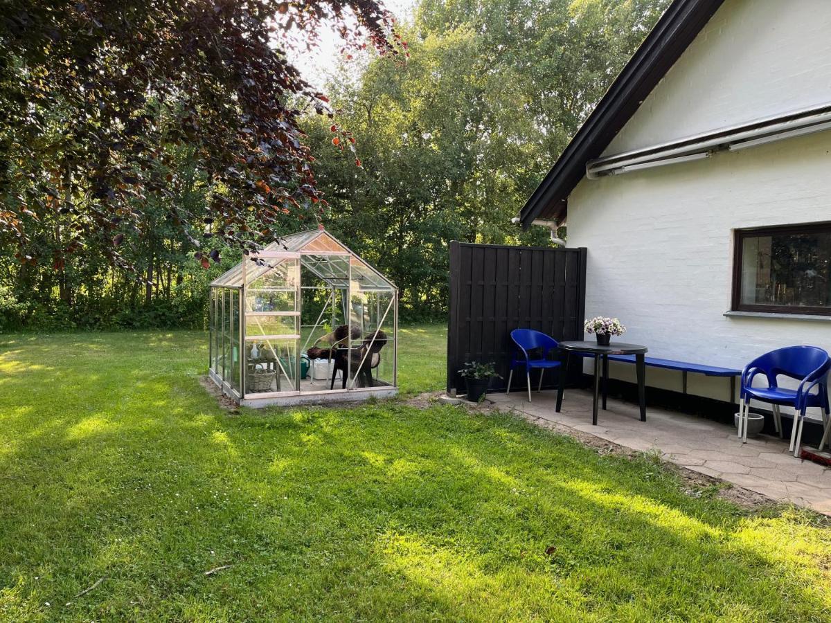 Hjørring Fuglsang Bed & Breakfast المظهر الخارجي الصورة