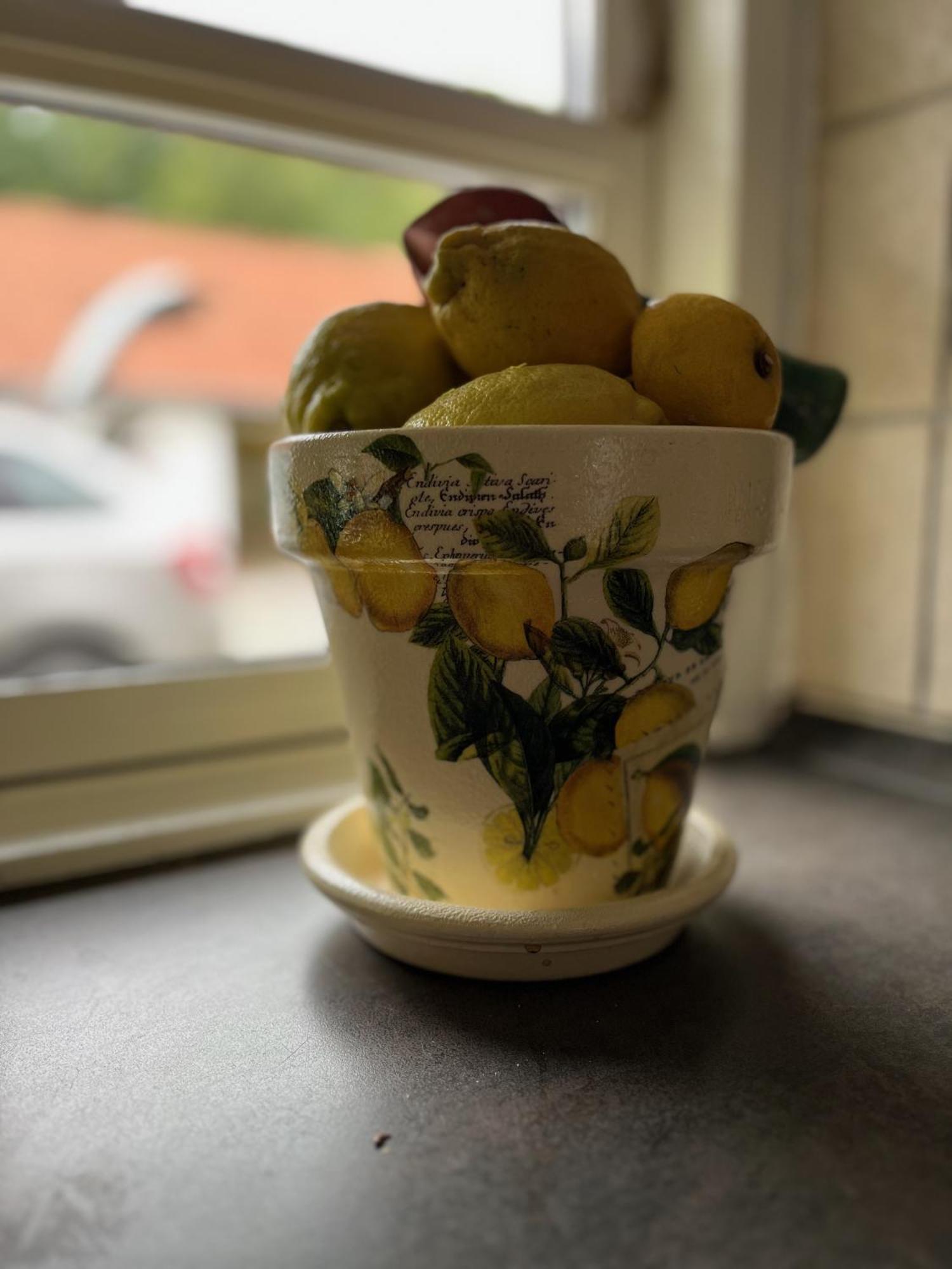 Hjørring Fuglsang Bed & Breakfast المظهر الخارجي الصورة