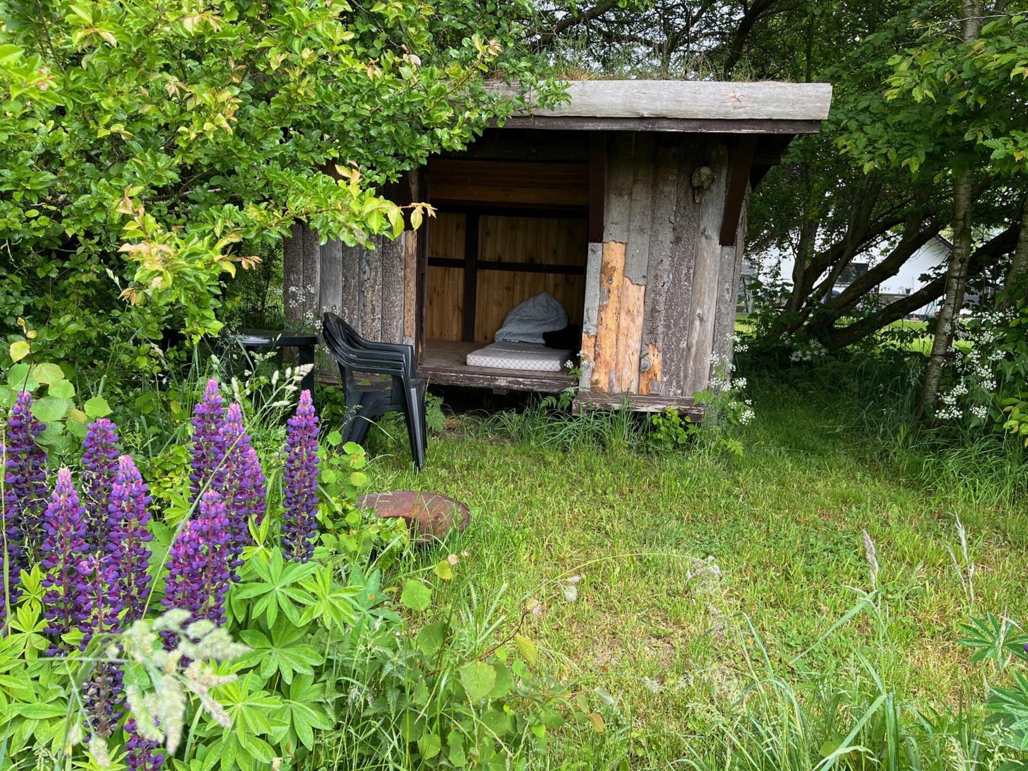 Hjørring Fuglsang Bed & Breakfast المظهر الخارجي الصورة